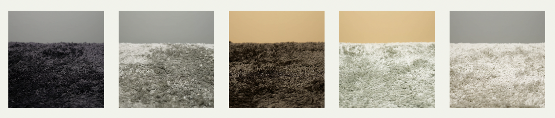 Capture d’écran 2024-10-30 à 10.10.26.png